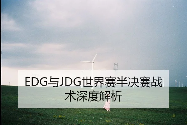 EDG与JDG世界赛半决赛战术深度解析